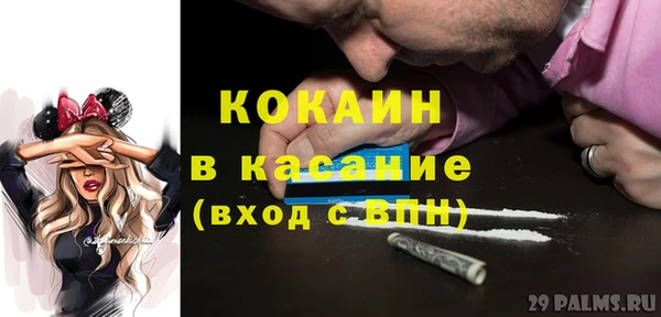 гашик Алексин