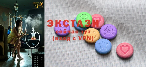 гашик Алексин
