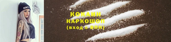 гашик Алексин