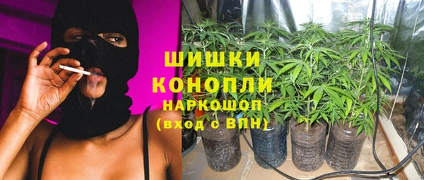 гашик Алексин