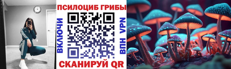 даркнет телеграм  наркотики  kraken ССЫЛКА  Черкесск  Галлюциногенные грибы MAGIC MUSHROOMS 