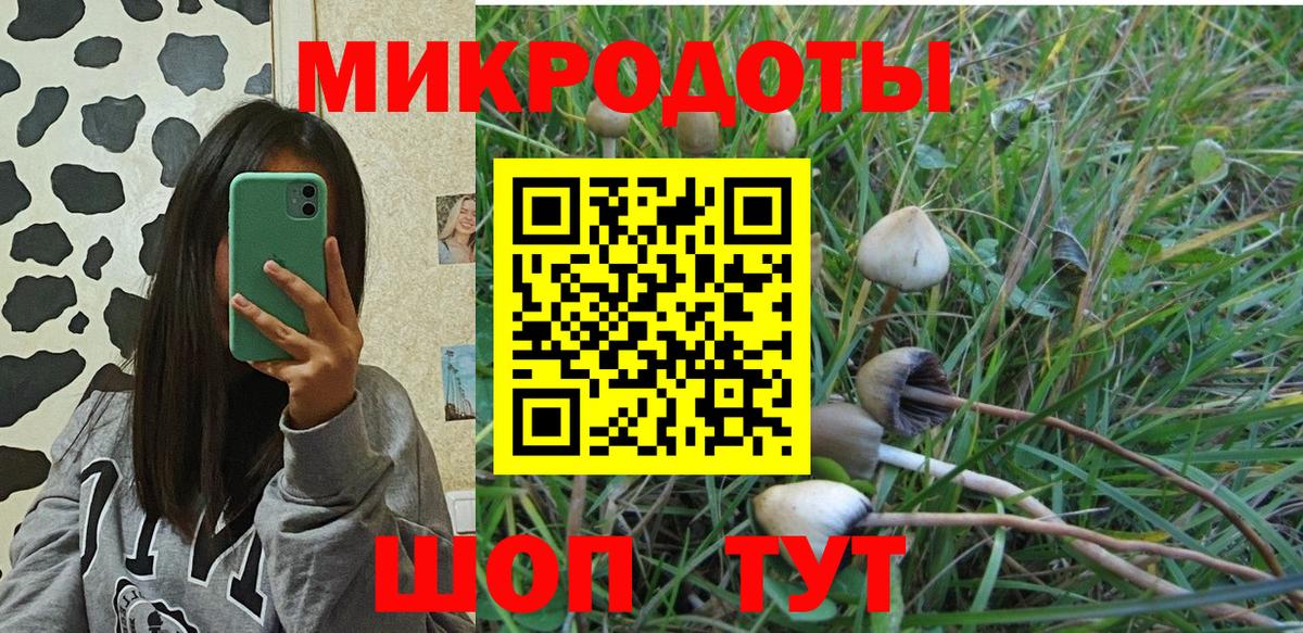 Псилоцибиновые грибы мухоморы Черкесск
