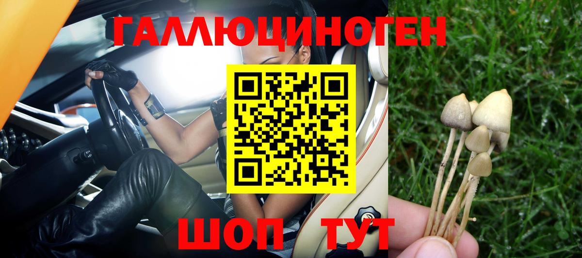 Псилоцибиновые грибы прущие грибы  магазин продажи наркотиков  Черкесск  Вход с VPN 